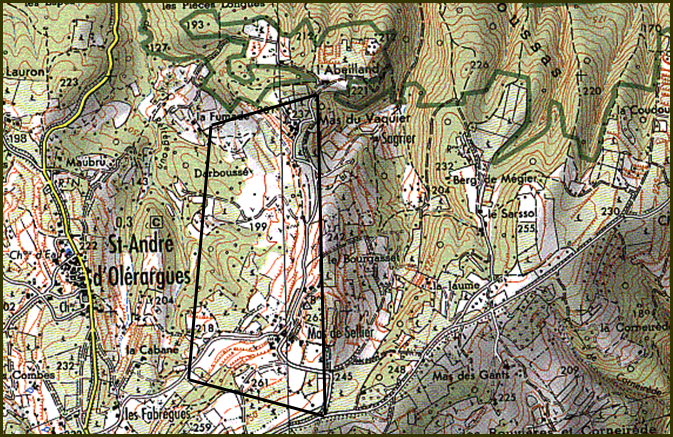 Figure 163 Concession lignite