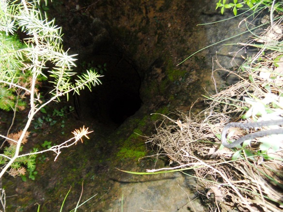 Figure 166-7 Tunnel