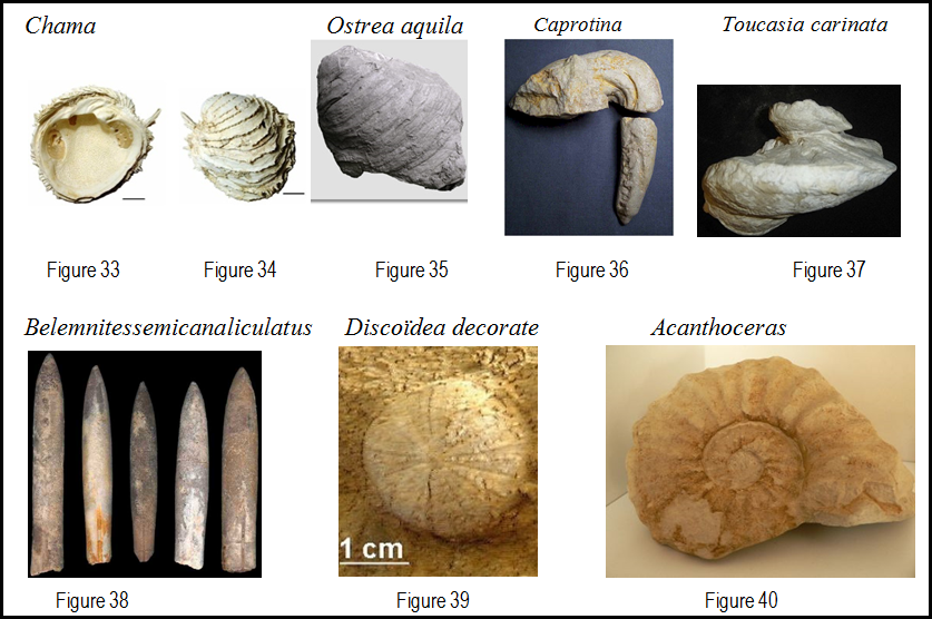 Figure 33 à 40