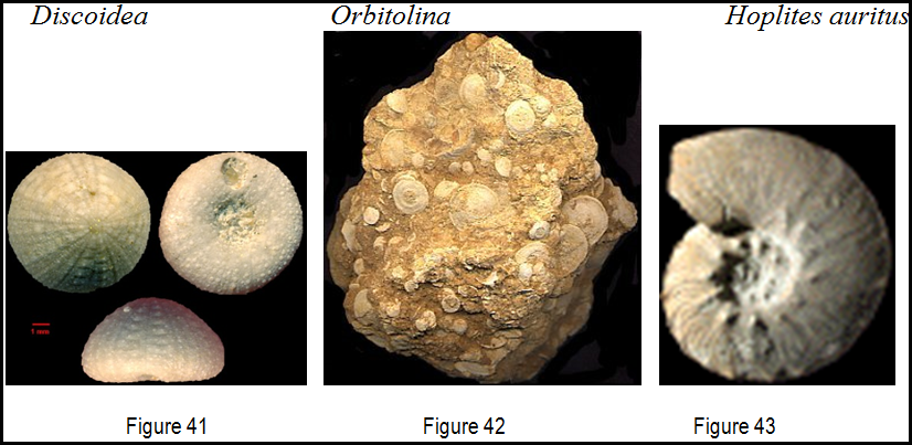 Figure 41 à 43