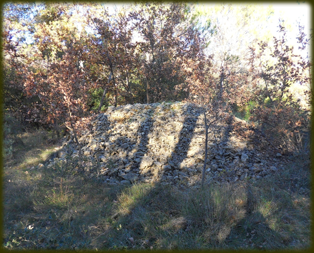 Figure 65 tumulus