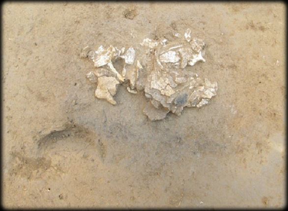 Figure 83-4. Amas d'ossement